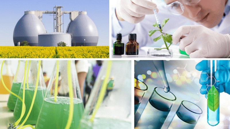 Biotechnology and Sustainability: Where Science and Earth Meet