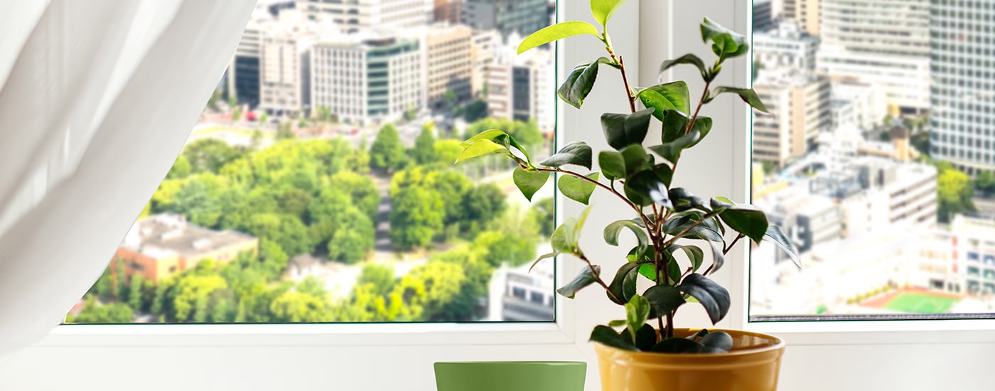 LEED v4 Home Essentials:  Indoor Environmental Quality