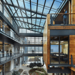 WELL Certification: Your Guide to Healthy Buildings in 2024