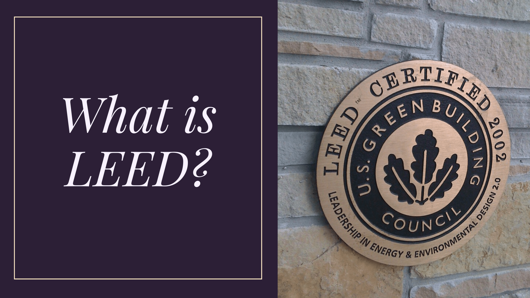 What is LEED?