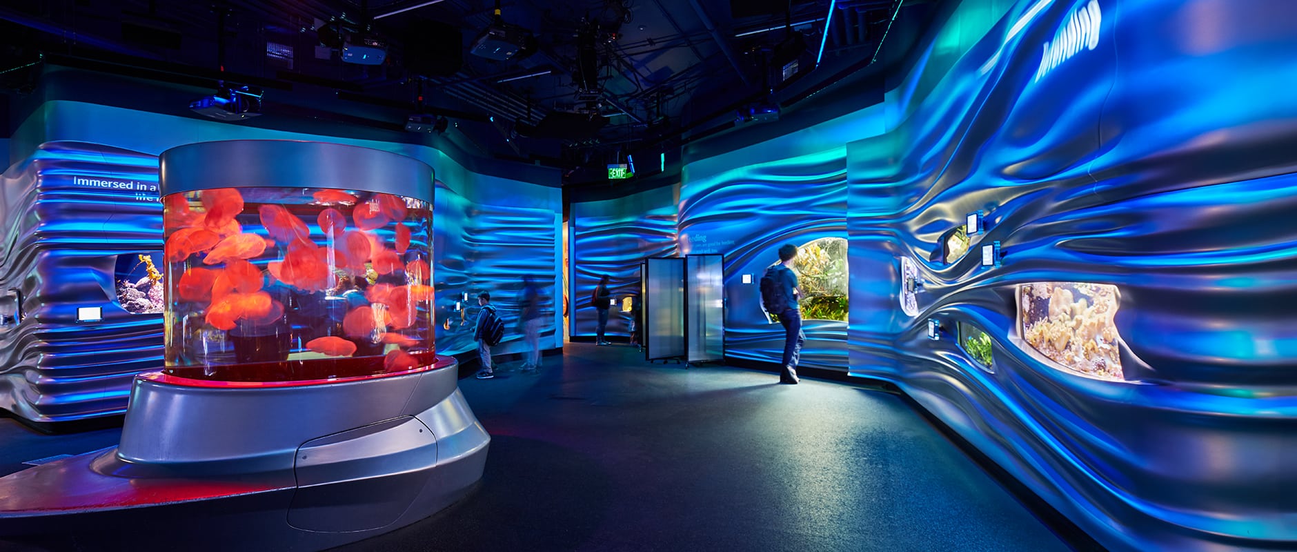 The California Academy Of Sciences: The World’s First “Double Platinum” Museum!