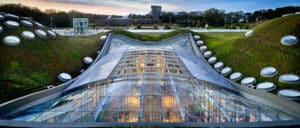 THE CALIFORNIA ACADEMY OF SCIENCES