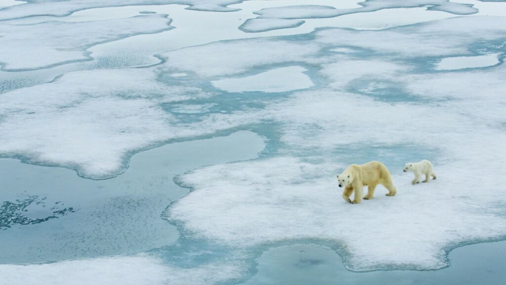Climate Change and You: Is it End Game Now?