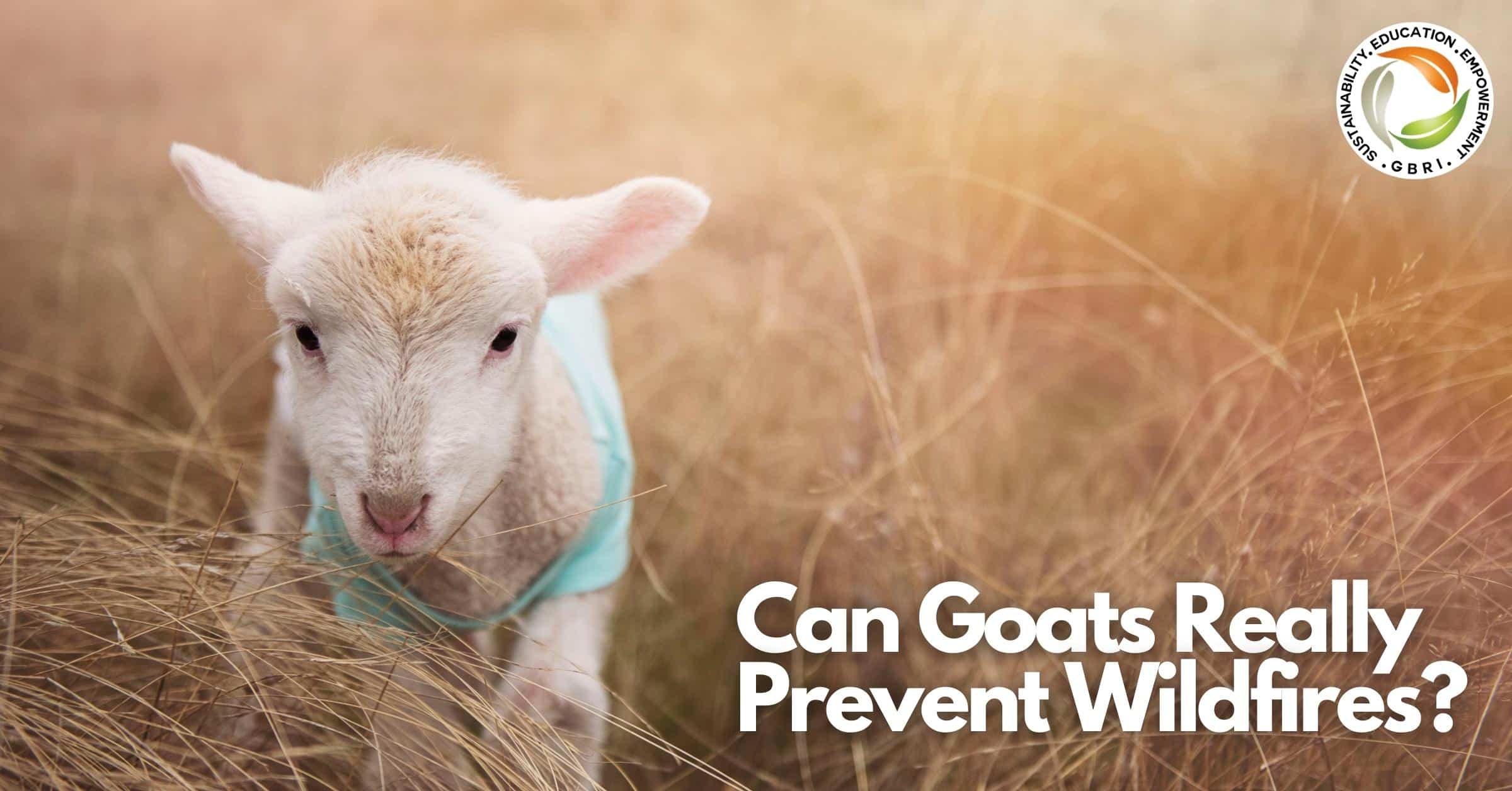 Can Goats Really Prevent Wildfires?