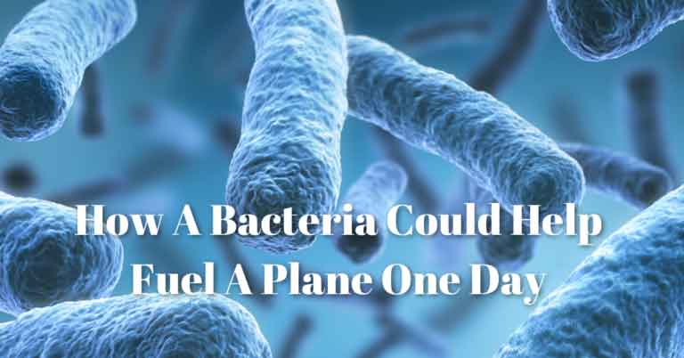 How A Bacteria Could Help Fuel A Plane One Day