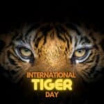 International Tiger Day: An Attempt To Save The Majestic Big Cats!