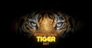 International Tiger Day / Global Tiger Day