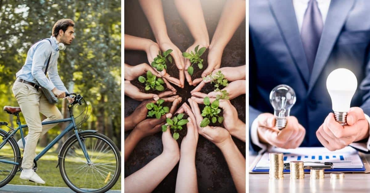 Living Sustainably: Here's how you can go green (5 easy ways) 