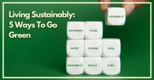 Living Sustainably: 5 ways to go green