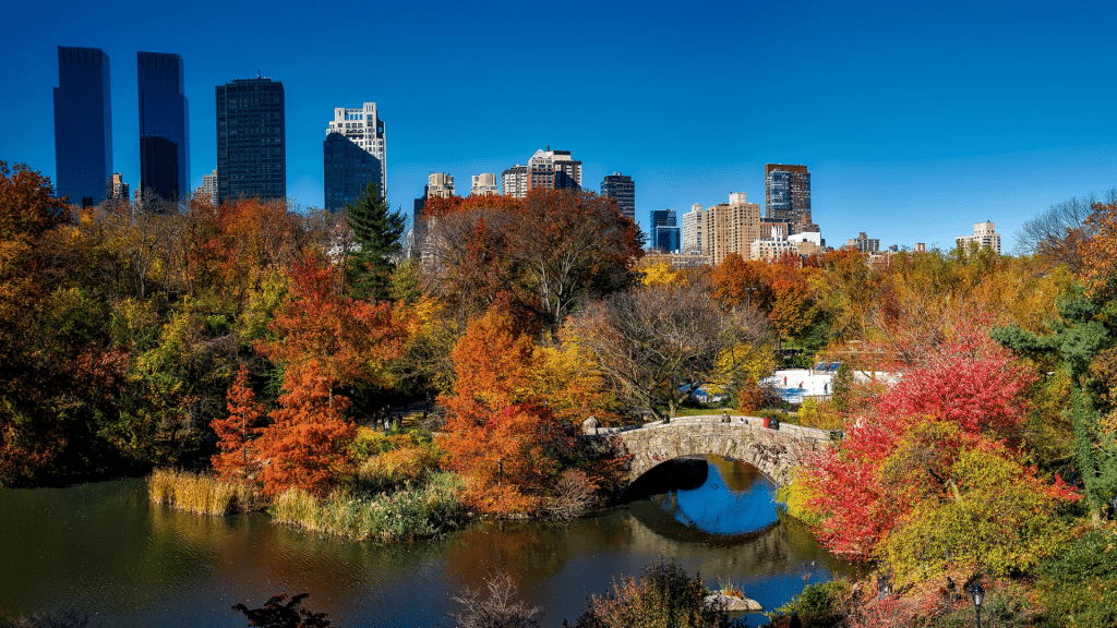 Sustainability-Partners-Influencers-Locations-Newyork-USA