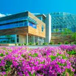 Understanding Process Energy within LEED and Green Buildings