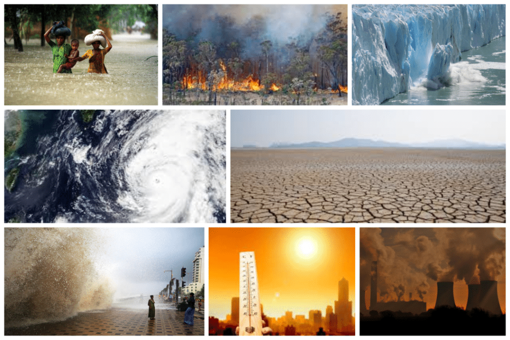 Climate Change & You: From Global Causes to Personal Solutions