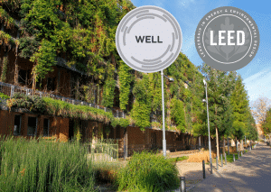 Exploring the synergy: Intersection of LEED and WELL Rating Systems