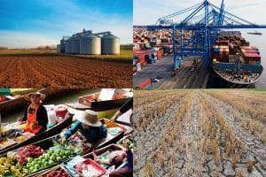 Reimagining Resilience: Navigating the Intersection of Climate Change, Food Security, and the Built Environment