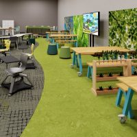 Biophilic Design in Schools